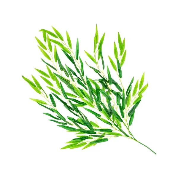 Enredadera Decorativa Ramo Planta X10u