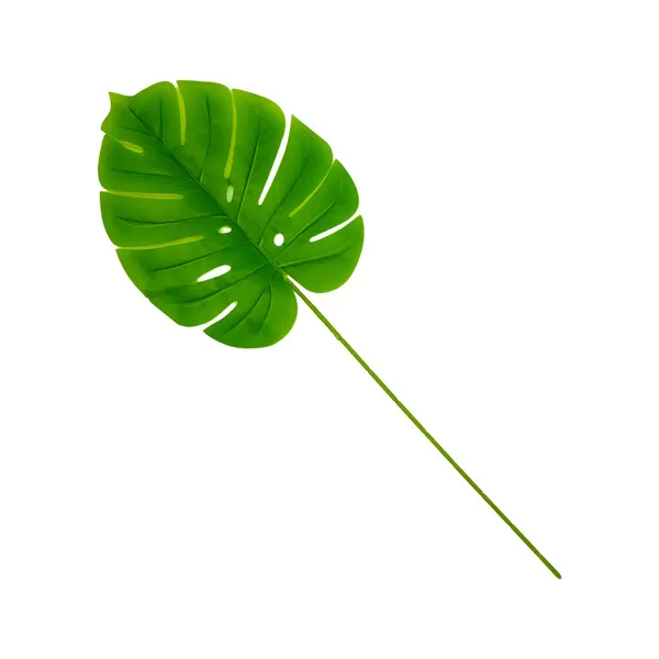Planta Artificial Hoja Monstera Costilla De Adan