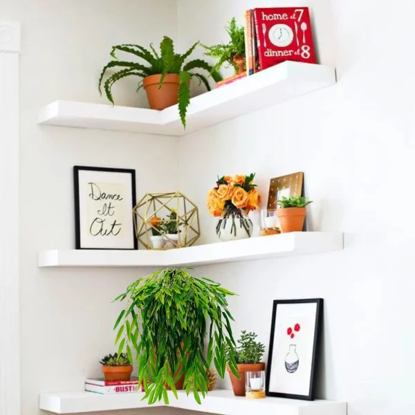 Enredadera Decorativa Ramo Planta X20u