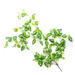Enredadera Artificial Jardin Vertical Ramo Deco Planta Verde