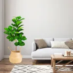 Planta Artificial Grande 130cm Ficus Decoracion Interior Ext Color Verde Claro