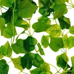 Enredadera Jardin Vertical Ramo Deco Pack X5unidades Diseño