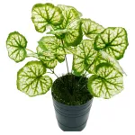 Jardin Vertical Ramo Planta Decorativa Planta Artificial X5u