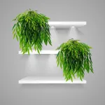 Enredadera Jardin Vertical Deco Ramo Planta X10u Diseño