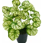 Jardin Vertical Ramo Planta Decorativa Artificial X10u