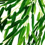 Enredadera Jardin Vertical Deco Ramo Planta X20u Diseño