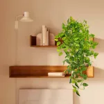 Enredadera Jardin Vertical Ramo Deco Pack X5unidades Diseño