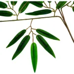 Jardin Vertical Artificial Ramo Planta Decorativa Verde