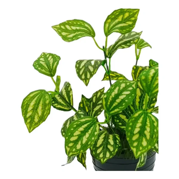 Ramo Artificial Jardin Vertical Planta Decorativa Verde Claro