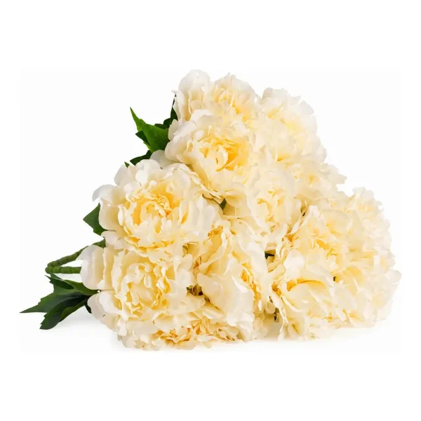 Ramo De Peonias Pack X6 Flores Artificiales 40cm Deco Hogar Champagne