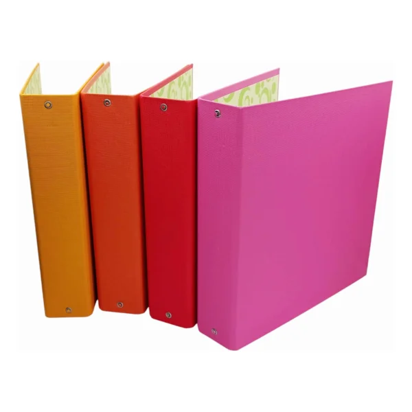 Carpeta Escolar Pvc Numero 3 Avios Color N3 Ganchos Pack X5