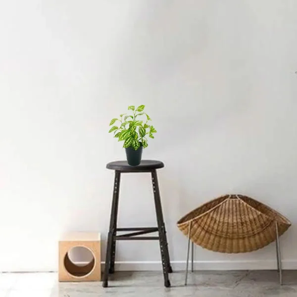 Ramo Artificial Jardin Vertical Planta Decorativa Verde Claro
