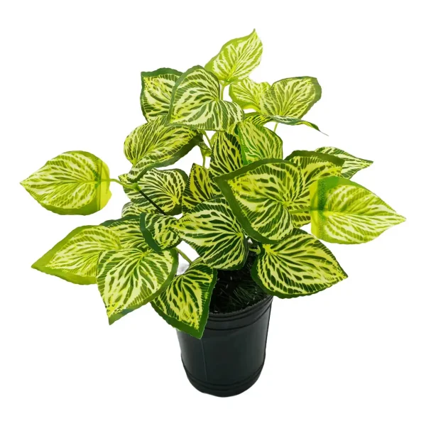 Planta Artificial Maceta Interior Exterior Decorativa Verde