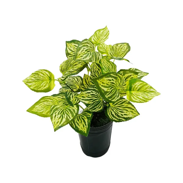 Planta Artificial Maceta Interior Exterior Decorativa
