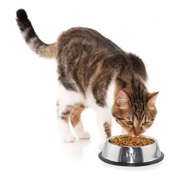 Plato Bebedero Para Mascota