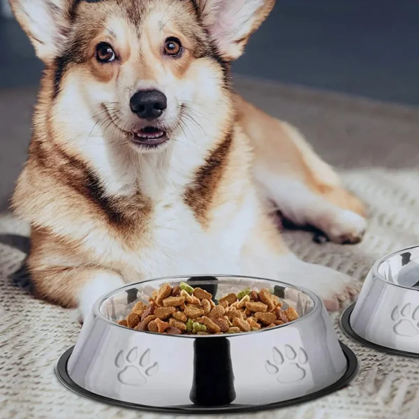 Plato Bebedero Para Mascota