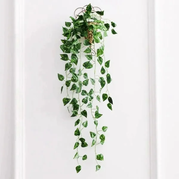 Enredadera Ramo Jardin Vertical Planta X3 Unidades Diseño