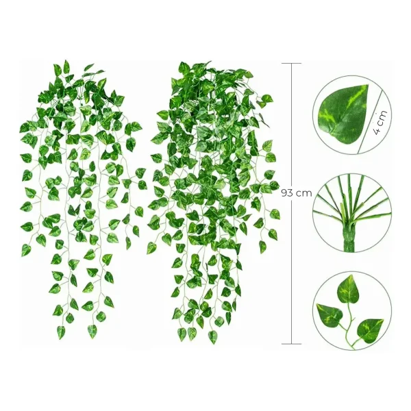 Enredadera Ramo Jardin Vertical Planta X3 Unidades Diseño