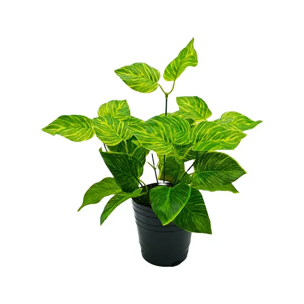 Ramo Jardin Vertical Artificial Expreso Polar 36cm Pack 5 Unidades Verde