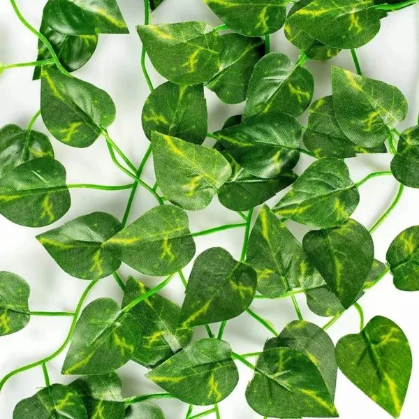 Enredadera Ramo Jardin Vertical Planta X3 Unidades Diseño
