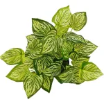 Planta Artificial Maceta Interior Exterior Decorativa