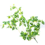 Enredadera Artificial Jardin Vertical Ramo Deco Planta