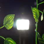 Jardin Vertical Enredadera Hojas Artificiales 2,05mt X6u.