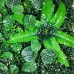 Jardin Vertical Muro Verde Césped Pared Plantas Artificiales