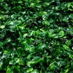 Jardin Vertical Artificial Muro Verde X10 Unidades