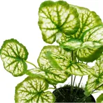 Jardin Vertical Ramo Planta Decorativa Artificial X10u