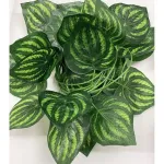 Jardin Vertical Expreso Polar Enredadera Hojas Artificiales 2,05mt X12u. Color Verde Claro