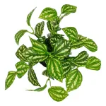 Ramo Artificial Jardin Vertical Planta Decorativa