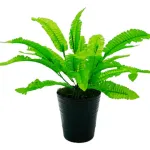 Jardin Vertical Artificial Ramo Planta Deco X5 Decoración