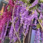 Flores Artificiales Vara Pack X12 Enredadera Colgante Guia