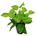 Planta Artificial Ramo Jardin Vertical Decorativa