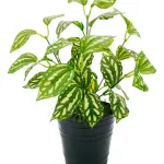 Ramo Artificial Jardin Vertical Planta Decorativa