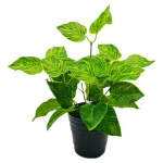 Planta Artificial Ramo Jardin Vertical Decorativa