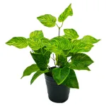 Jardin Vertical Artificial Ramo Planta Decox5unidades Diseño