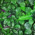 Jardin Vertical Muro Verde Césped Pared Plantas Artificiales