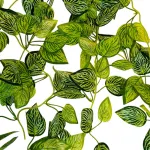 Enredadera Jardin Vertical Ramo Deco Pack X20 Diseño