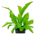 Jardin Vertical Artificial Ramo Helecho Planta Decorativa X5