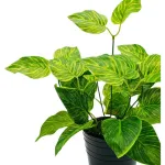 Planta Artificial Ramo Jardin Vertical Decorativa