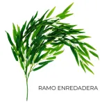 Enredadera Jardin Vertical Deco Ramo Plantax5unidades Diseño