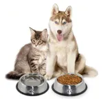 Plato Bebedero Mascota Para Agua Comida Perro Gato Plateado