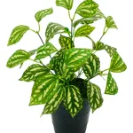 Ramo Artificial Jardin Vertical Planta Decorativa