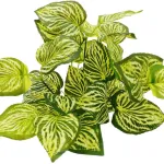 Planta Artificial Maceta Interior Exterior Decorativa