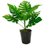 Jardin Vertical Artificial Planta Para Maceta X3u Decoración