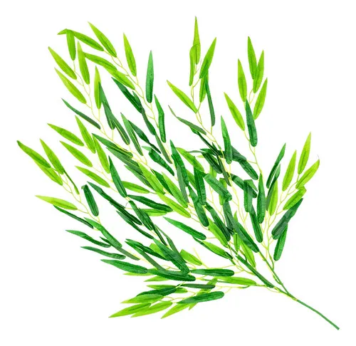 Producto Enredadera Jardin Vertical Deco Ramo Planta X10u Diseño Imagen