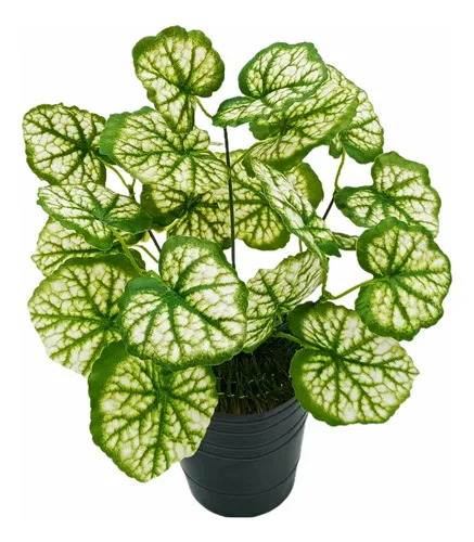 Producto Jardin Vertical Ramo Planta Decorativa Artificial X10u Imagen