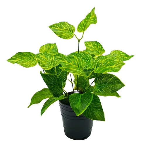 Producto Ramo Jardin Vertical Artificial Expreso Polar 36cm Pack 5 Unidades Verde Imagen